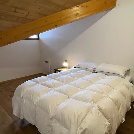 Duplex Spacieux Proche Centre - Animaux Admis - Fr-1-464-259 Appartement Pralognan-la-Vanoise